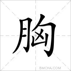 胸异体字胷匈拼音xiōng注音ㄒㄩㄥ部首月部外笔画6画总笔画10画结构